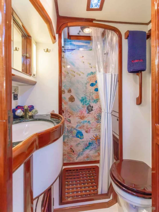 Little Harbor 60 Moonracer owner's head and shower.