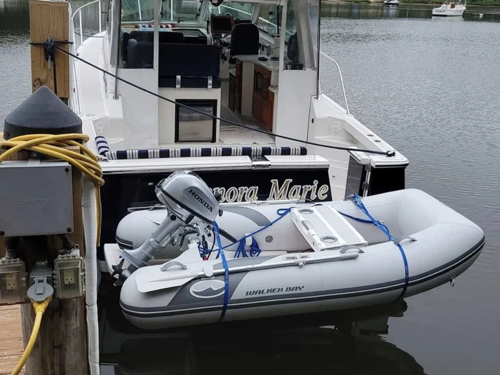 2010 Back Cove 33, view of tender to cockpit.