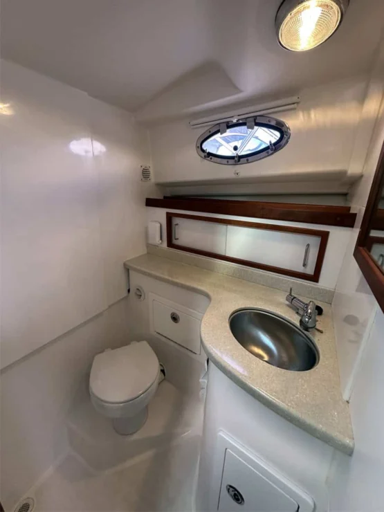 Image of 2016 Back Cove 30 REVERIE's head and ensuite shower.