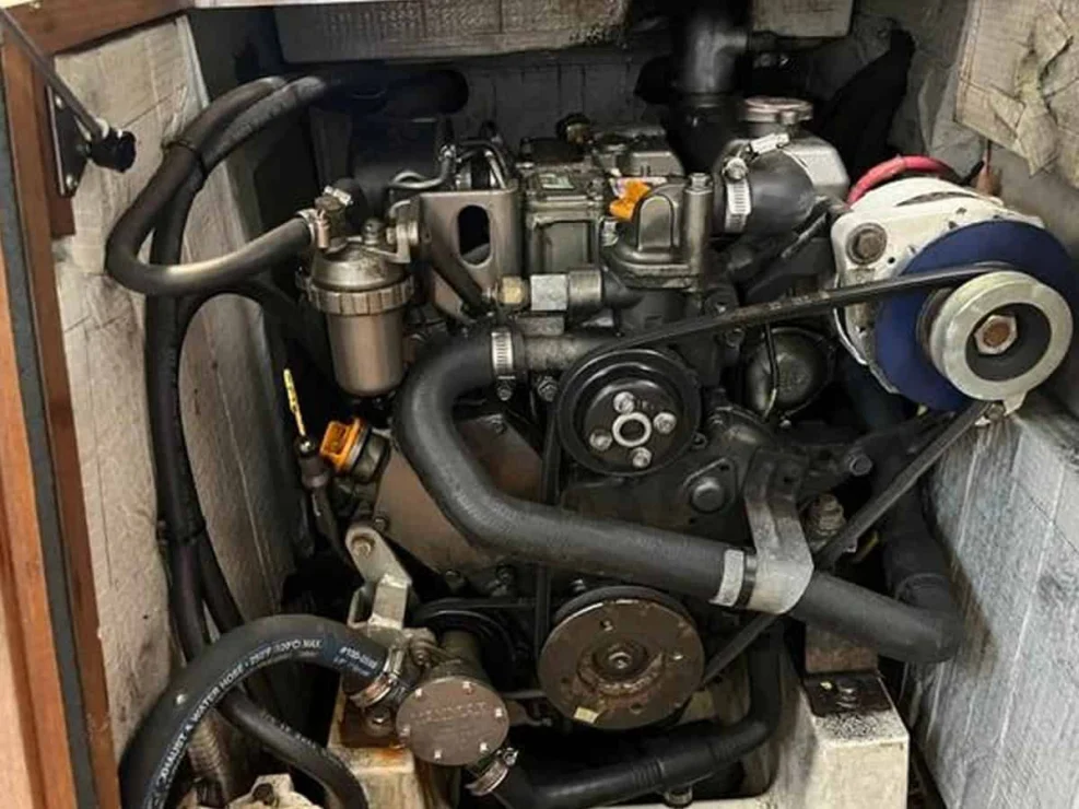 2006 Morris 26, head.